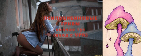 2c-b Ладушкин