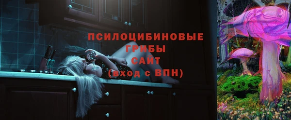 дмт Лабытнанги