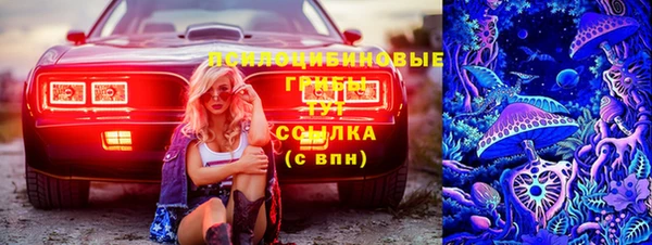 2c-b Ладушкин